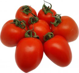 עגבניה תמר מובחר